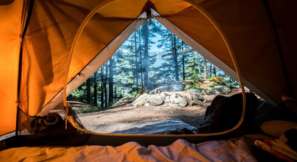 view from inside a tent