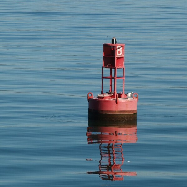 buoy in the water
